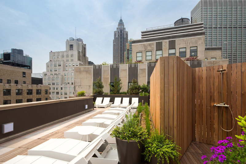 Gallery Apartments for Rent in New York, NY 15 Cliff