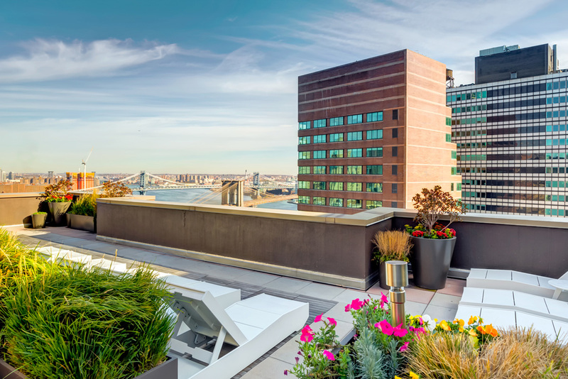 Gallery Apartments for Rent in New York, NY 15 Cliff