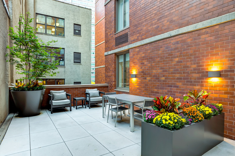 Gallery Apartments for Rent in New York, NY 15 Cliff