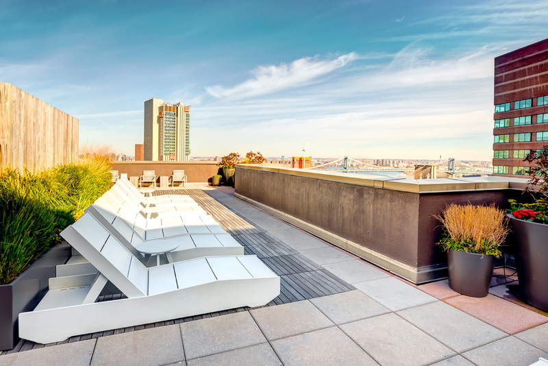 Gallery Apartments for Rent in New York, NY 15 Cliff