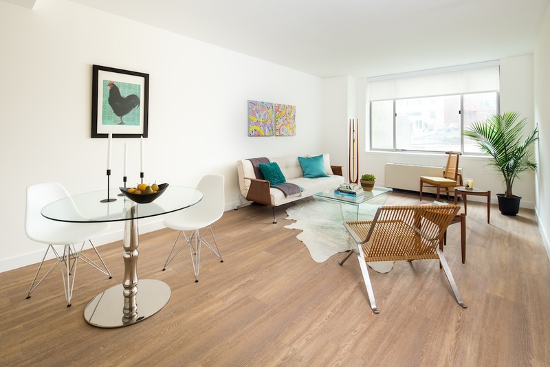 Gallery Apartments for Rent in New York, NY 15 Cliff