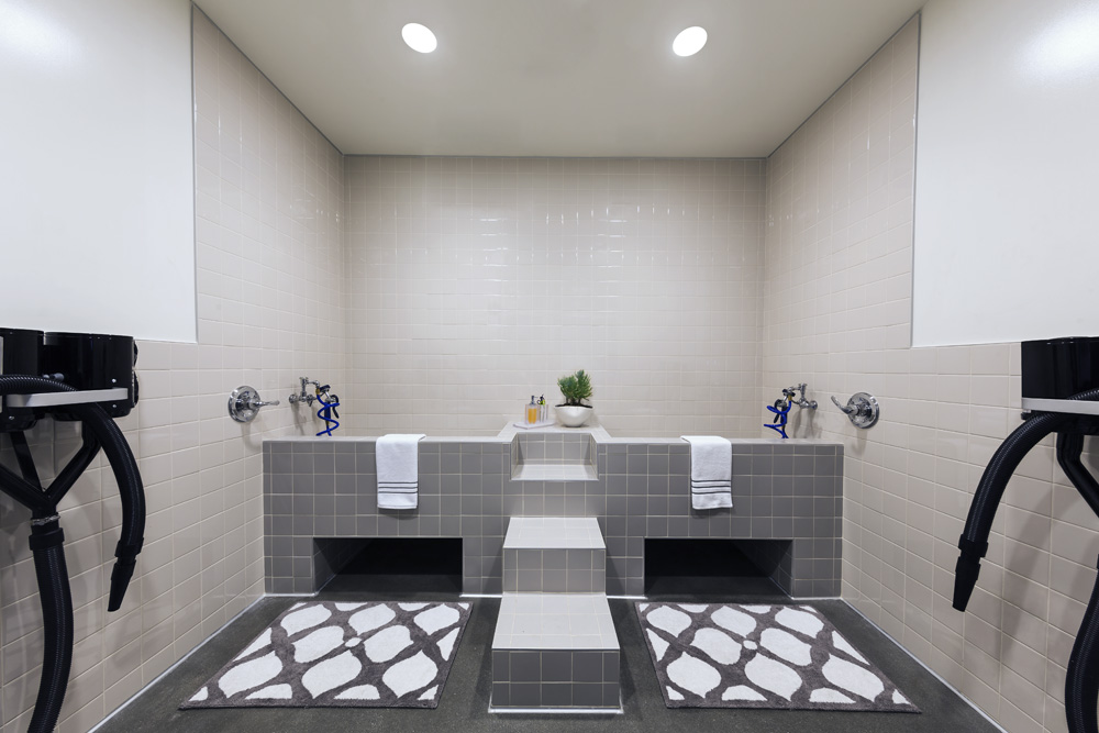 PET_SPA_V3.jpg (1000×667) Spa lounge, Pet spa, Grands