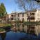 Park Lake Apartments Water Feature Photo