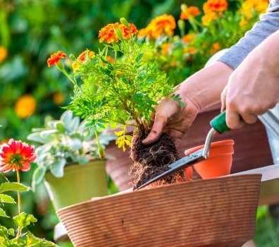 Beautify Your Home With These Innovative Indoor Garden Ideas